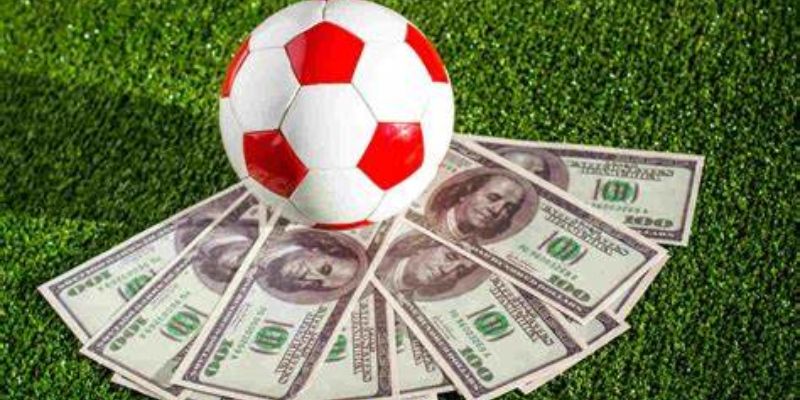 cá cược bóng đá