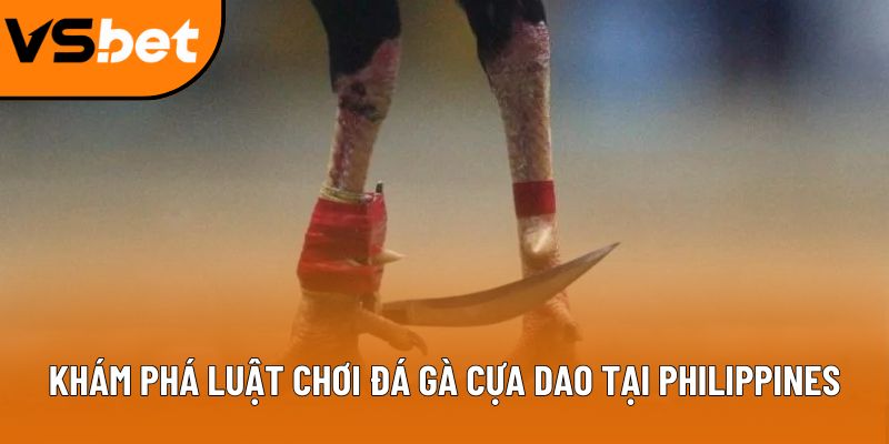 Khám phá luật chơi đá gà cựa dao tại Philippines