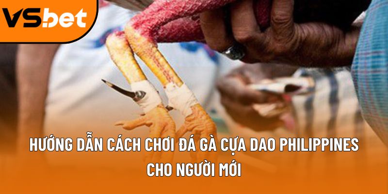 Hướng dẫn cách chơi đá gà cựa dao philippines cho người mới