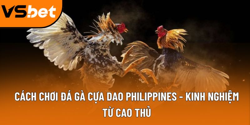 Cách chơi đá gà cựa dao philippines - Kinh nghiệm từ cao thủ