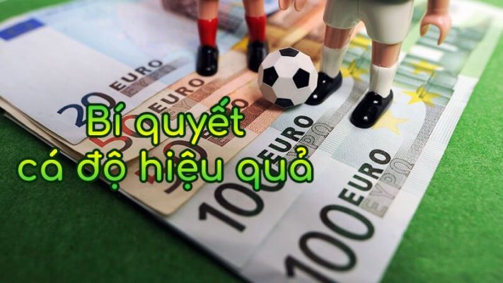 Chọn game cá cược trực tuyến phù hợp