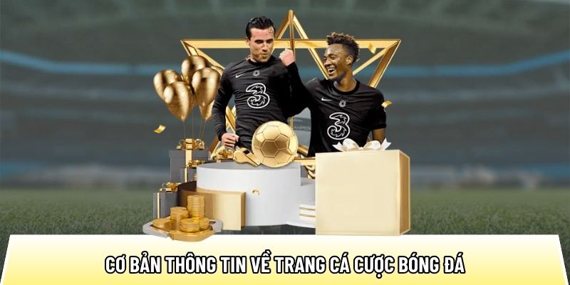 Cơ bản thông tin về trang cá cược bóng đá