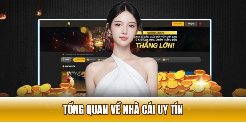 Tổng quan chung về chuyên trang nhà cái uy tín